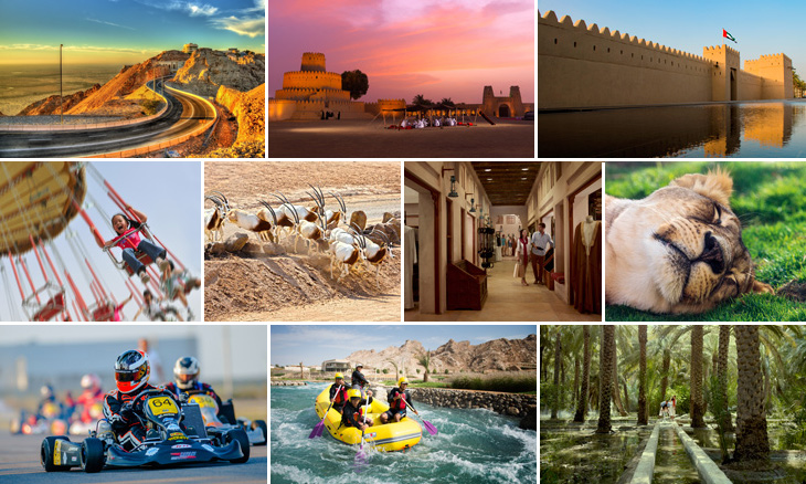 al ain city tour